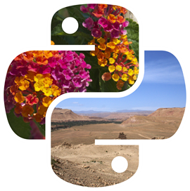logo image